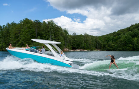 ls4surf_surf_21_841-2k